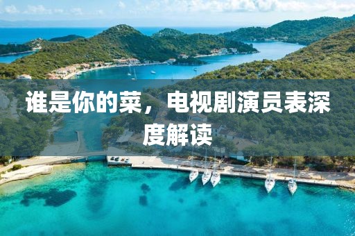 谁是你的菜，电视剧演员表深度解读