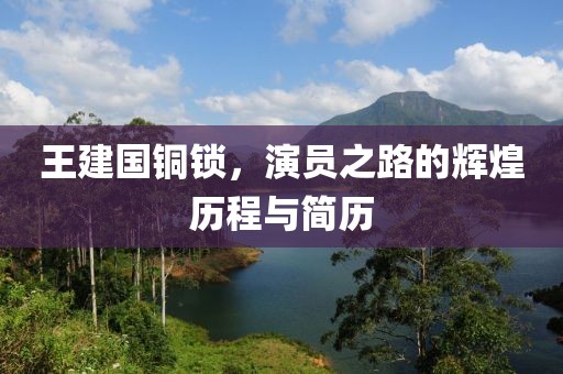 王建国铜锁，演员之路的辉煌历程与简历
