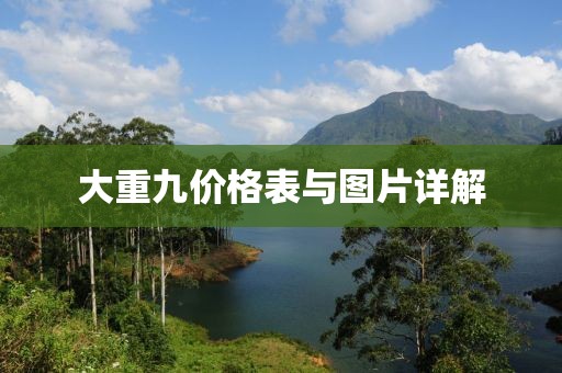 大重九价格表与图片详解