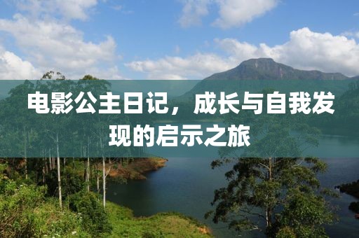 电影公主日记，成长与自我发现的启示之旅