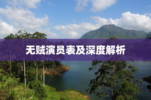无贼演员表及深度解析