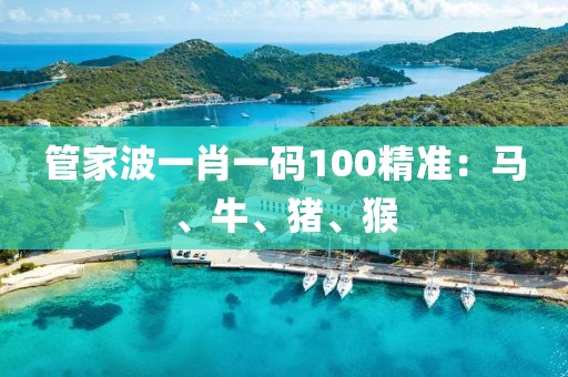管家波一肖一码100精准：马、牛、猪、猴