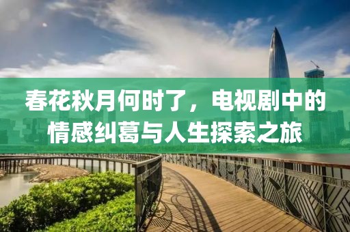 春花秋月何时了，电视剧中的情感纠葛与人生探索之旅
