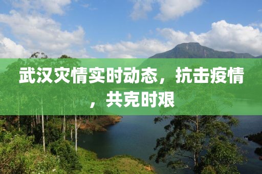 武汉灾情实时动态，抗击疫情，共克时艰