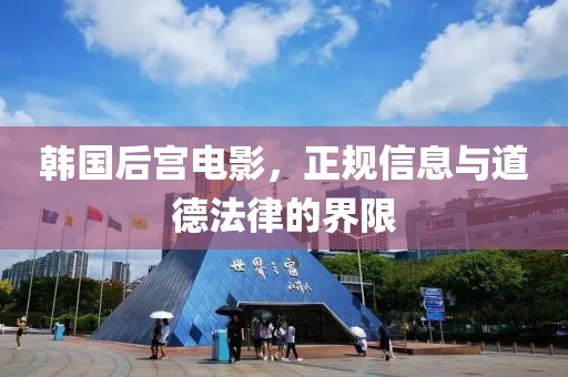 韩国后宫电影，正规信息与道德法律的界限