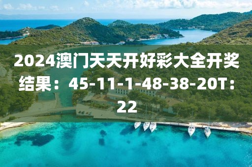 2024澳门天天开好彩大全开奖结果：45-11-1-48-38-20T：22