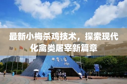 最新小梅杀鸡技术，探索现代化禽类屠宰新篇章