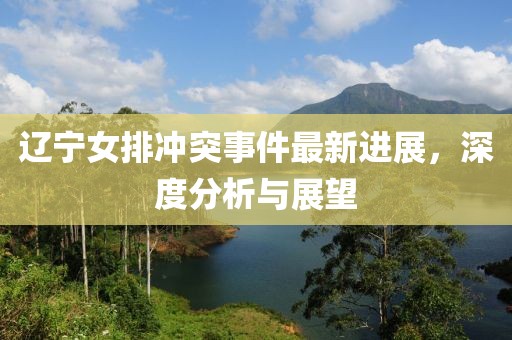 辽宁女排冲突事件最新进展，深度分析与展望