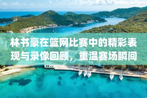 林书豪在篮网比赛中的精彩表现与录像回顾，重温赛场瞬间