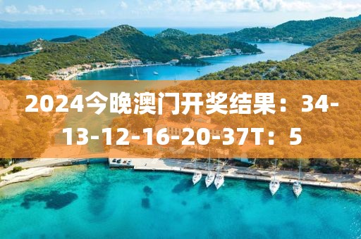 2024今晚澳门开奖结果：34-13-12-16-20-37T：5