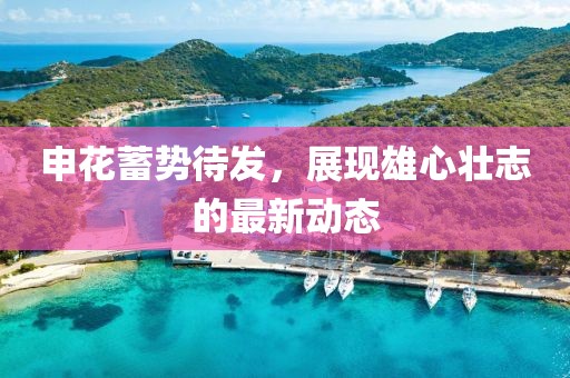申花蓄势待发，展现雄心壮志的最新动态