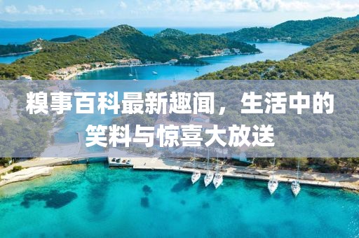 糗事百科最新趣闻，生活中的笑料与惊喜大放送