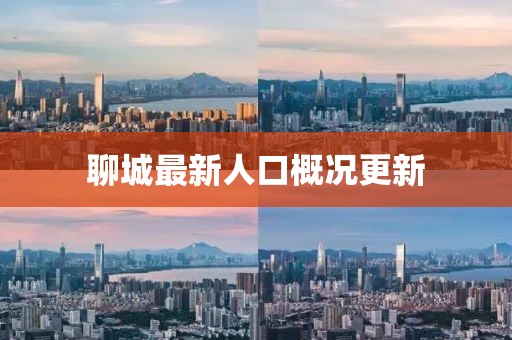 聊城最新人口概况更新
