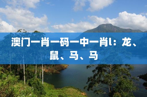 澳门一肖一码一中一肖l：龙、鼠、马、马