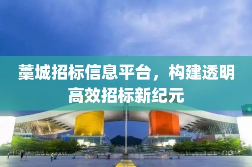 藁城招标信息平台，构建透明高效招标新纪元