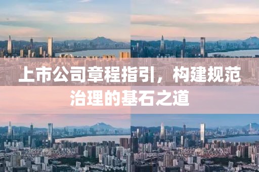 上市公司章程指引，构建规范治理的基石之道