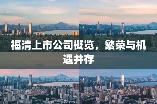 福清上市公司概览，繁荣与机遇并存