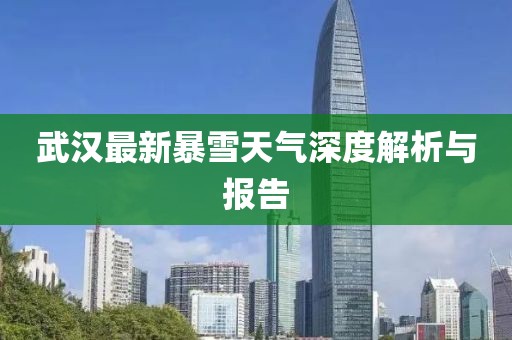 武汉最新暴雪天气深度解析与报告