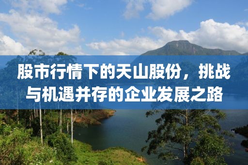 股市行情下的天山股份，挑战与机遇并存的企业发展之路