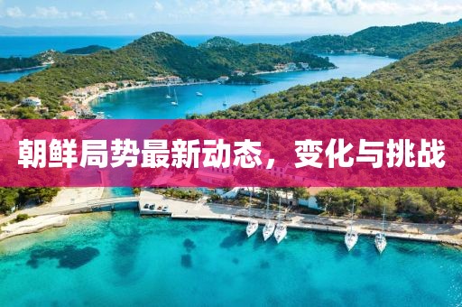 朝鲜局势最新动态，变化与挑战