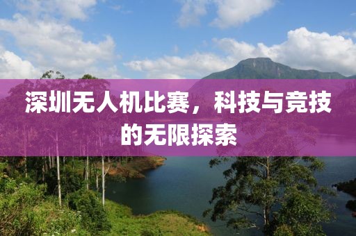 深圳无人机比赛，科技与竞技的无限探索