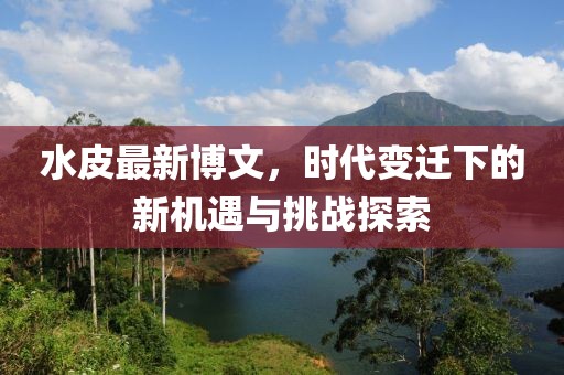 水皮最新博文，时代变迁下的新机遇与挑战探索