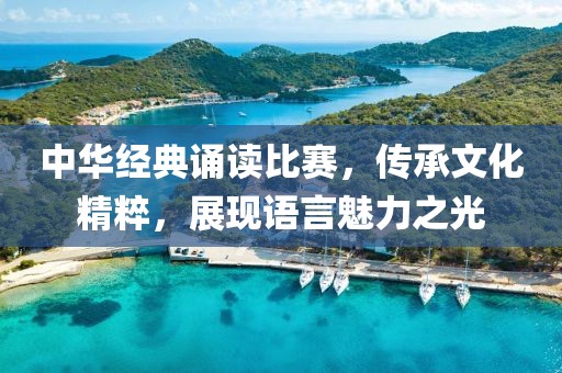 中华经典诵读比赛，传承文化精粹，展现语言魅力之光
