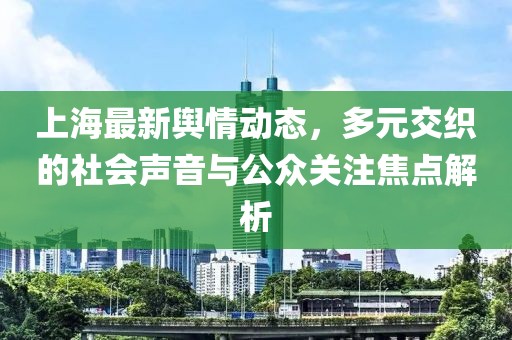 上海最新舆情动态，多元交织的社会声音与公众关注焦点解析
