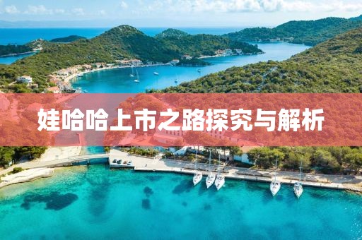 娃哈哈上市之路探究与解析