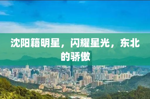 沈阳籍明星，闪耀星光，东北的骄傲