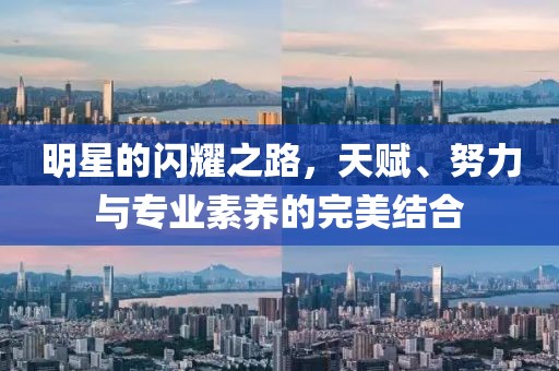 明星的闪耀之路，天赋、努力与专业素养的完美结合
