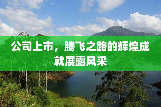 公司上市，腾飞之路的辉煌成就展露风采