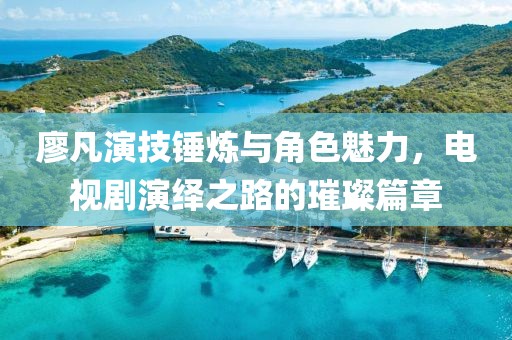 廖凡演技锤炼与角色魅力，电视剧演绎之路的璀璨篇章