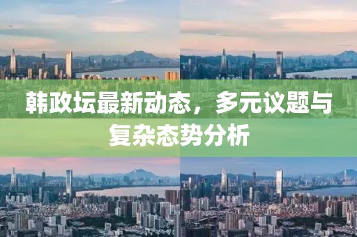 韩政坛最新动态，多元议题与复杂态势分析