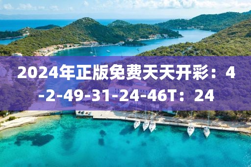 2024年正版免费天天开彩：4-2-49-31-24-46T：24