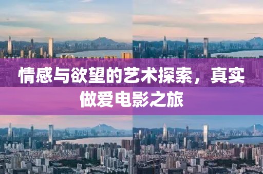 情感与欲望的艺术探索，真实做爱电影之旅