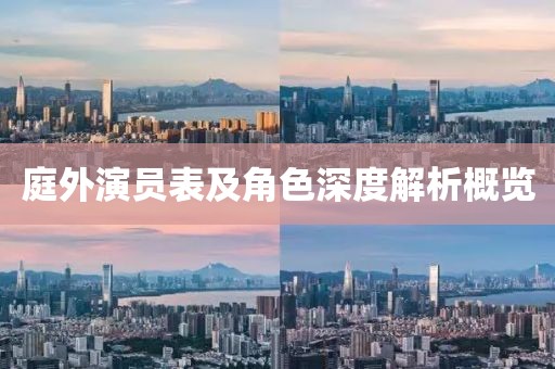 庭外演员表及角色深度解析概览