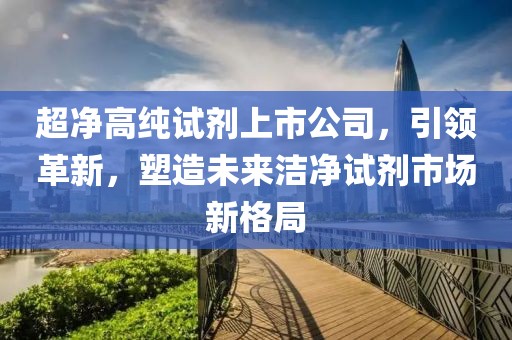 超净高纯试剂上市公司，引领革新，塑造未来洁净试剂市场新格局
