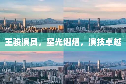 王骏演员，星光熠熠，演技卓越