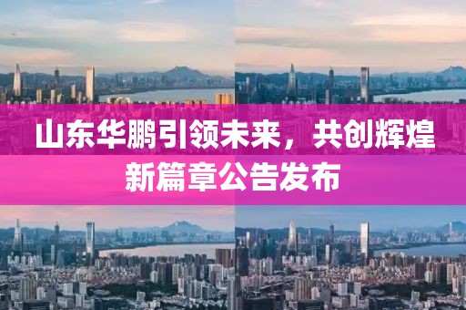 山东华鹏引领未来，共创辉煌新篇章公告发布