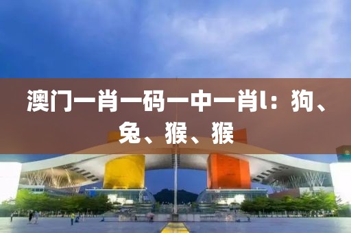 澳门一肖一码一中一肖l：狗、兔、猴、猴