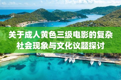 关于成人黄色三级电影的复杂社会现象与文化议题探讨