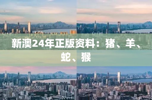 新澳24年正版资料：猪、羊、蛇、猴