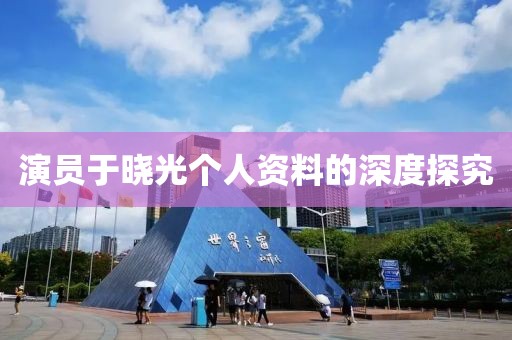 演员于晓光个人资料的深度探究