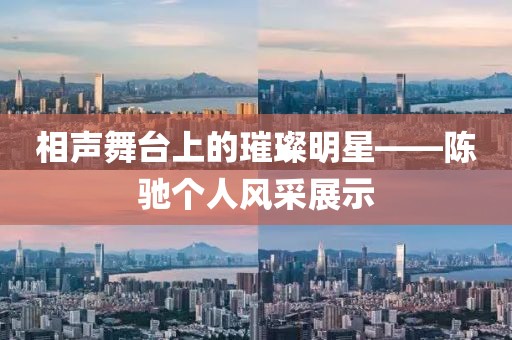 相声舞台上的璀璨明星——陈驰个人风采展示