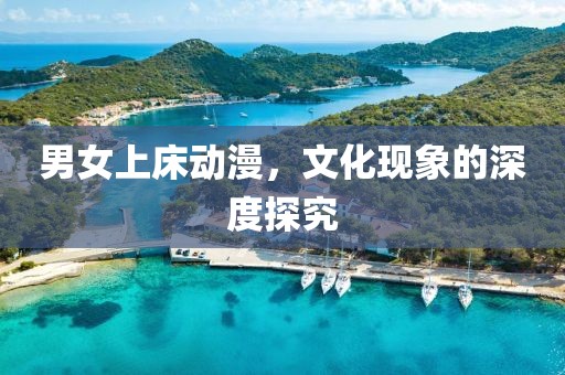 男女上床动漫，文化现象的深度探究