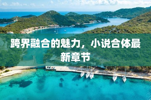 跨界融合的魅力，小说合体最新章节