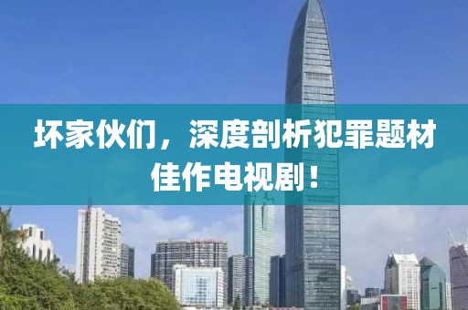 坏家伙们，深度剖析犯罪题材佳作电视剧！
