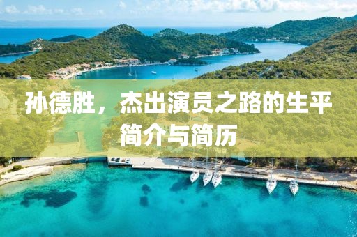 孙德胜，杰出演员之路的生平简介与简历