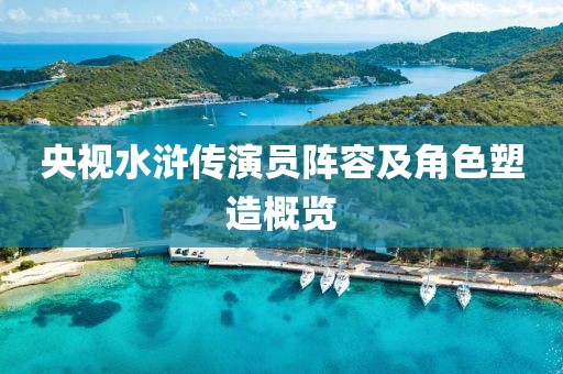 央视水浒传演员阵容及角色塑造概览
